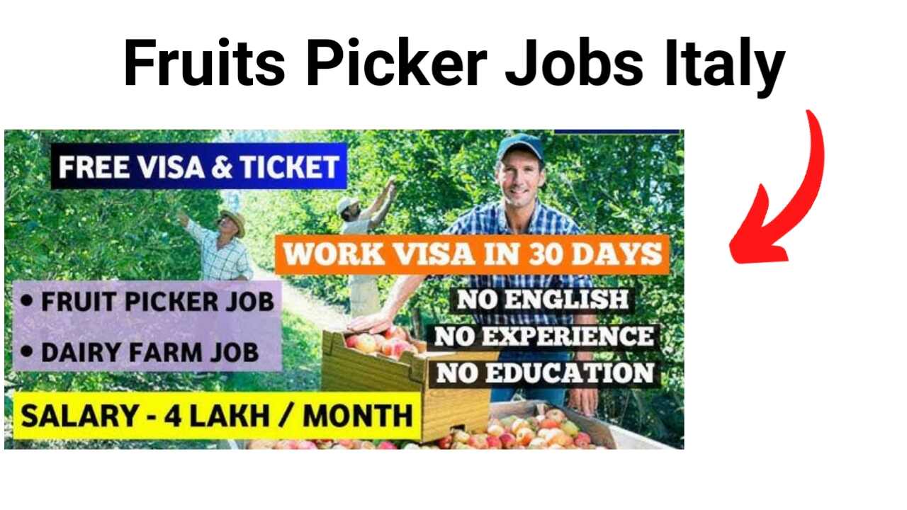 Exploring Farm Worker and Fruit Picker Opportunities Italy