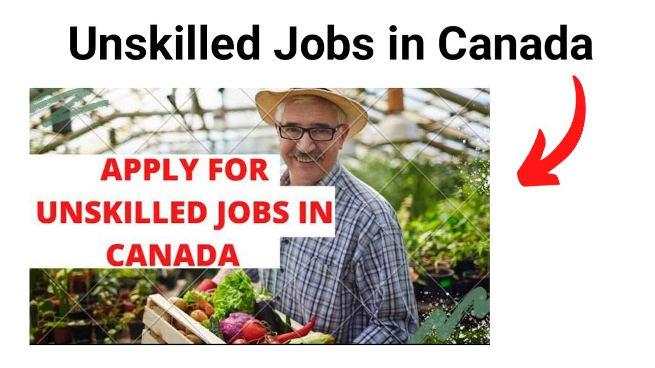 Unskilled Jobs in Canada For Foreigners 2024 – Apply Now